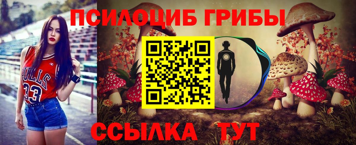 Галлюциногенные грибы Psilocybe  Вход с VPN  где продают наркотики  Светлоград 